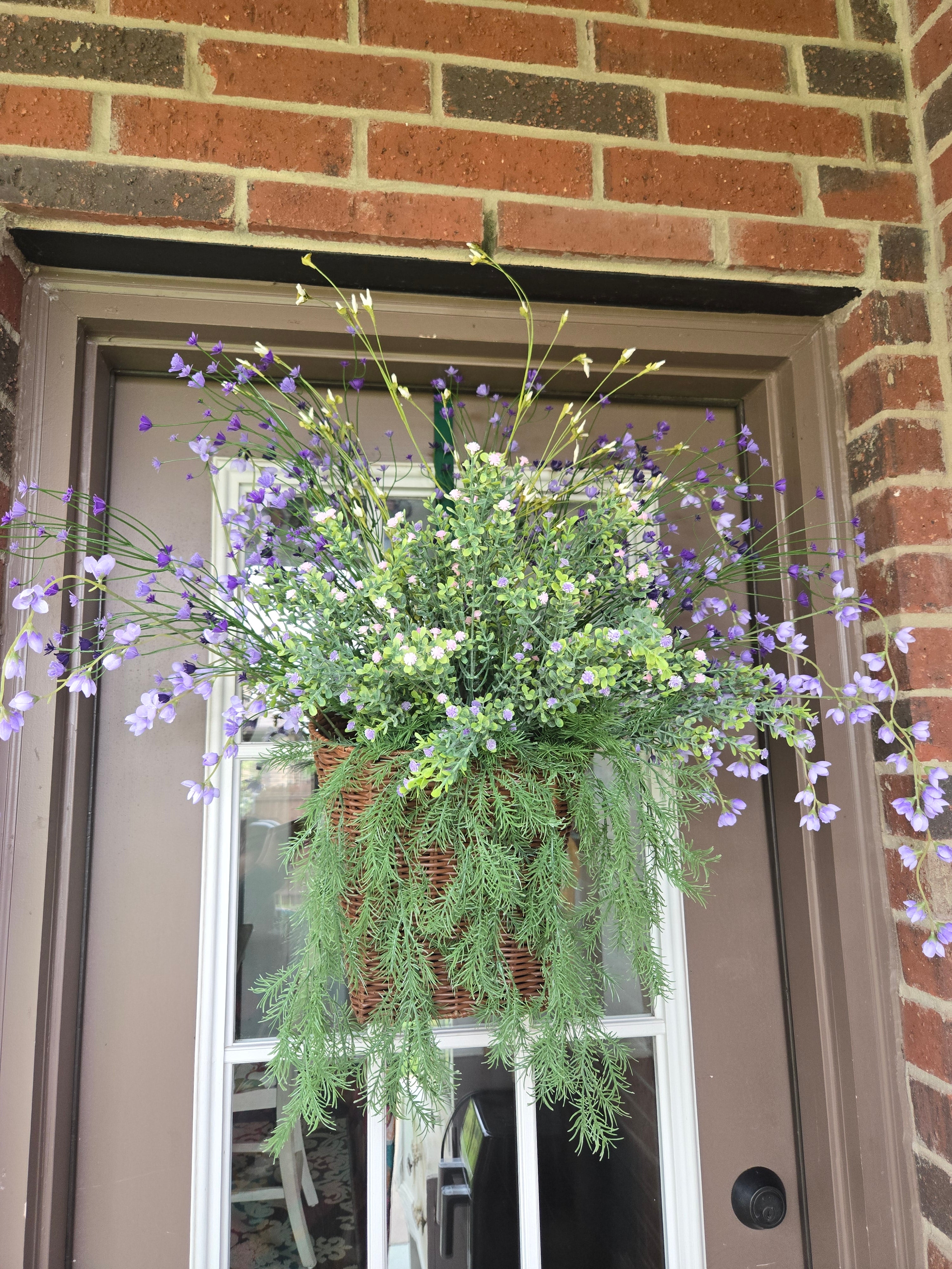 Purple Blossom